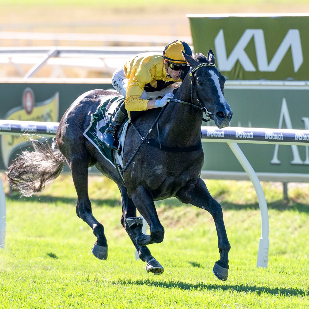 Tomorrow at Ascot Racecourse is Quayclean WA Sires' Produce Stakes Day and the final Group race of the Autumn Carnival. 🙌 The day includes a 9-race card and features the $200,000 Group 3 Quayclean-W.A. Sires' Produce Stakes over 1400m. 📸 @WesternRacepix