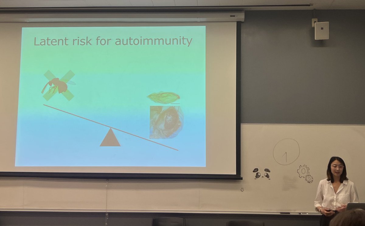 Berkeley undergrad Jossie Tamsil (advised by @trnpl) gave a terrific talk on her Honors Thesis research focusing on how animals that evolve new immune factors mitigate the risk autoimmunity