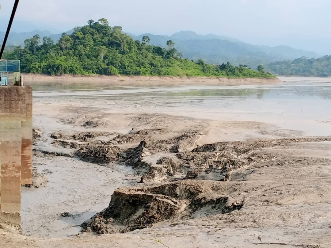 Adela Lozada tweet media