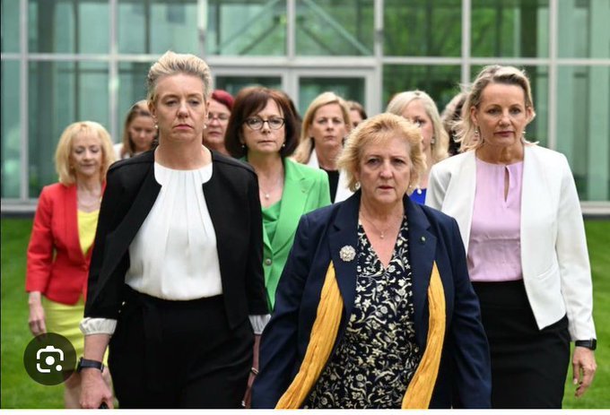 Never forget the real villains: These crumb-maidens were a willing part of a gmnt that in 2015 cheerily cut $300 million from women's crisis services across the country. theguardian.com/australia-news…