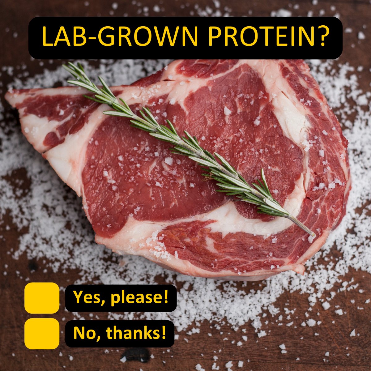 Canadians are more curious about lab-grown meats than US consumers, but #ArtificialMeat adoption depends on perceptions of naturalness and health. No cell-based meat or seafood has yet been approved by Health Canada. Would you try them? Tell us in the comments. #cdnag #meat