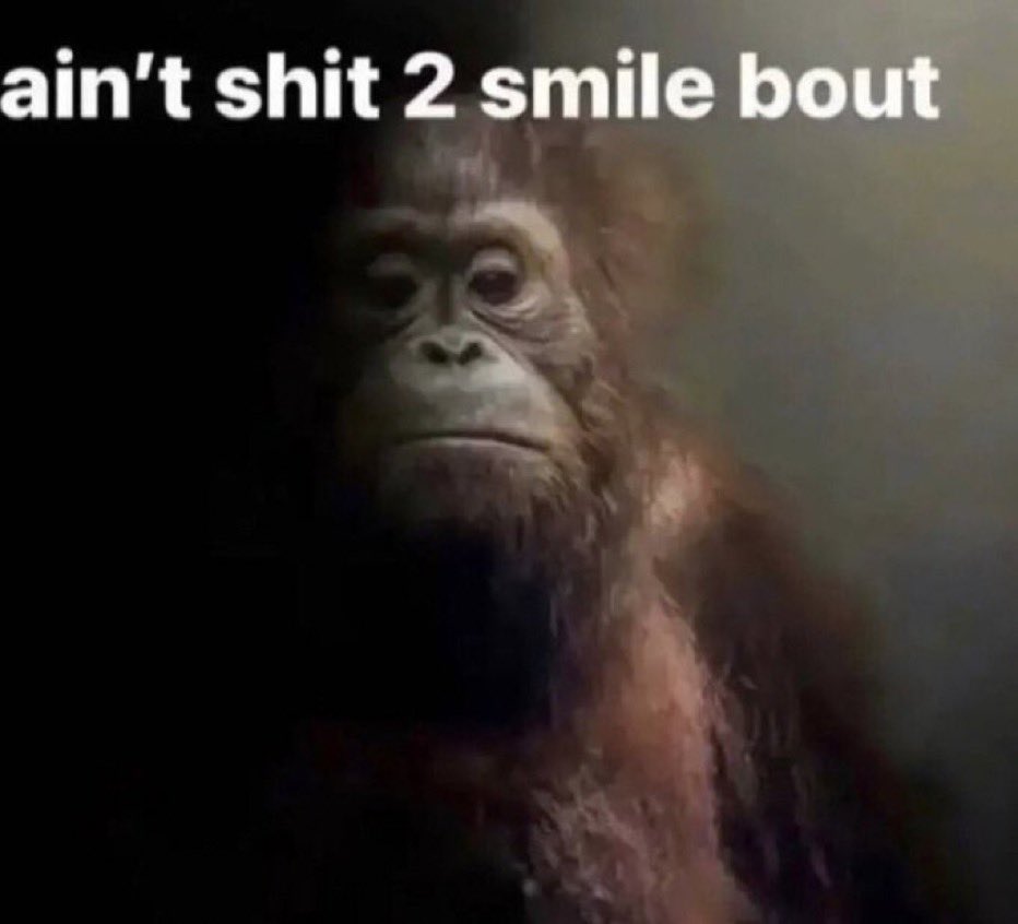 bizzui's tweet image. 