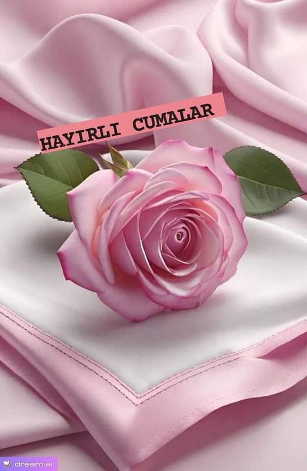 Bismillahirrahmanirrahim 🍁 Bir Duânın Sessizliği Düşerken Ruhuma, Anlarım ki Vakit Aşk Vakti; Günlerden Cuma. Cumamız Cennette 'Peygamber Efendimize🌹(Sav)🌹 Komşu Olmaya Vesile Olsun' 🤲 #Âmin 🤲🥀 Selâm ve dua ile... Sabah'ımız hayr, cuma'miz mübarek olsun..🤲🌸🩷