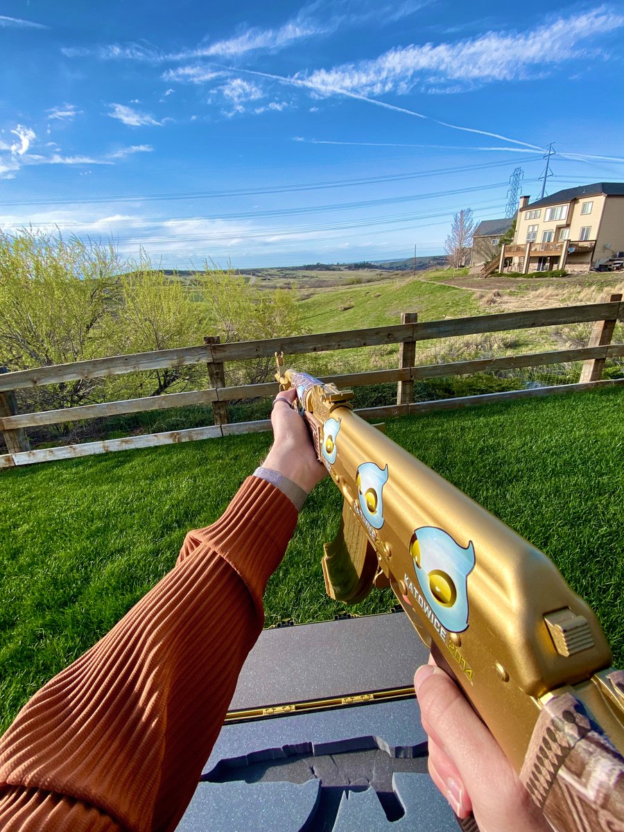 mosquito eater 🦟 tweet media