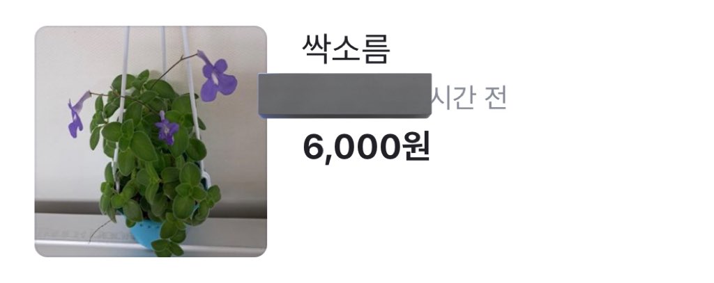 김구근🧅 tweet media