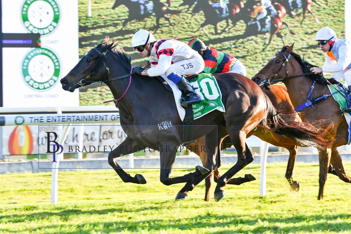 BUBBLES FOR ME (4m ex Not For Me) is engaged @newcastleraces_ on Saturday. The daughter of SEBRING was less than two lengths from the winner when fresh. @amymclucas99 in the @PitcherPartner BM68 over 1200m. @KitchwinHills @inglis_sales @Bradley_Photos @minervini_mark