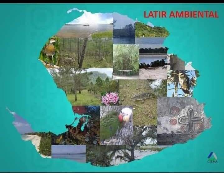 El #latirambiental se complace en continuar recepcionando trabajos para el momento científico más importante de la Jornada Ambiental Territorial.
#MedioAmbiente #IsladelaJuventud #SíSePuede #SentirPinero #PorUn26EnEl24 #CitmaCuba #CienciaCubana