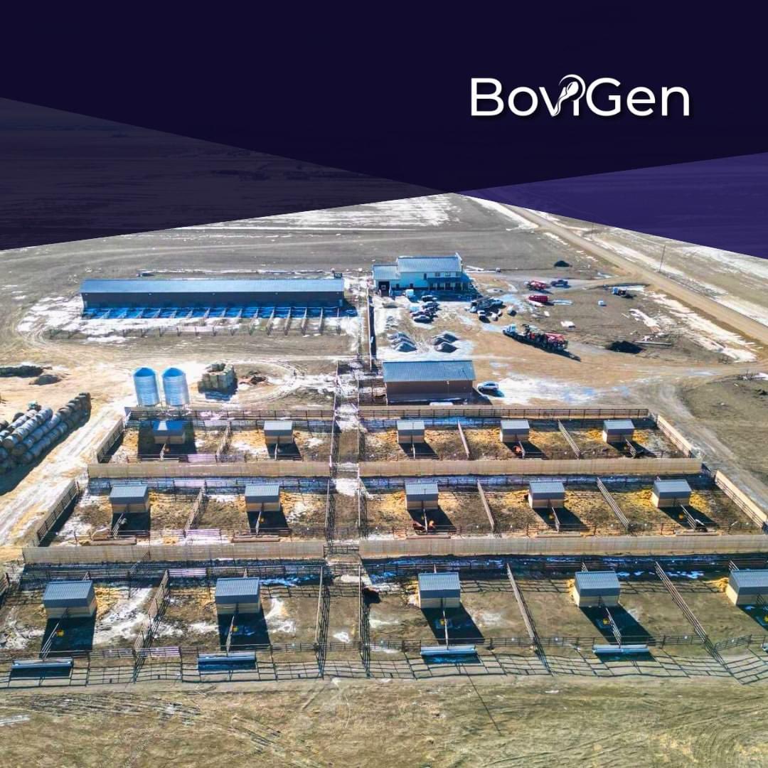 LifestockPod's tweet photo. Season 4 is here!  

Thank y’all so much for your continued support. We are excited to put together another season of interviews and discussions with industry leaders. 
Our season kicks off with Tyson Buyer from BoviGen. https://t.co/cHO46Ki2kV