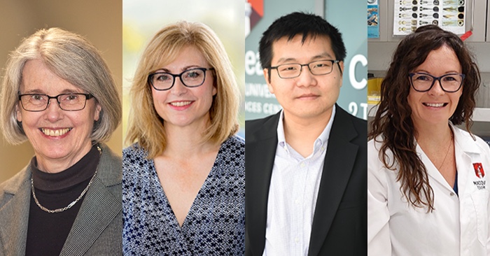 Four researchers from Macquarie University have received just over $7.1 million in prestigious Investigator Grants from the Australian Government’s National Health and Medical Research Council (NHMRC): macq.it/3wmuvJN