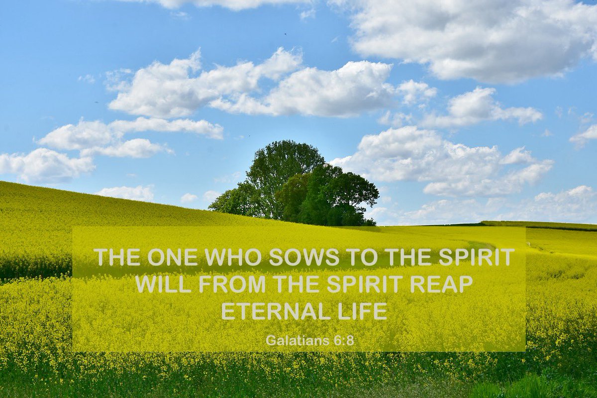 The one who sows to the Spirit Will from the Spirit reap Eternal Life. Galatians 6:8