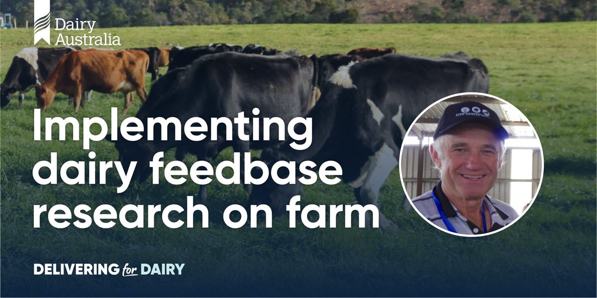 After participating in a DairyFeedbase research trial, East Gippsland dairy farmer Stewart McRae permanently split his herd in two after achieving a rise in the daily milk production. Read more about Stewart's experience at bit.ly/3wr5HQH

#innovation #dairy #ausdairy