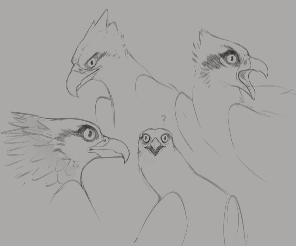 thought id practice real birds

here's some osprey babies 💜