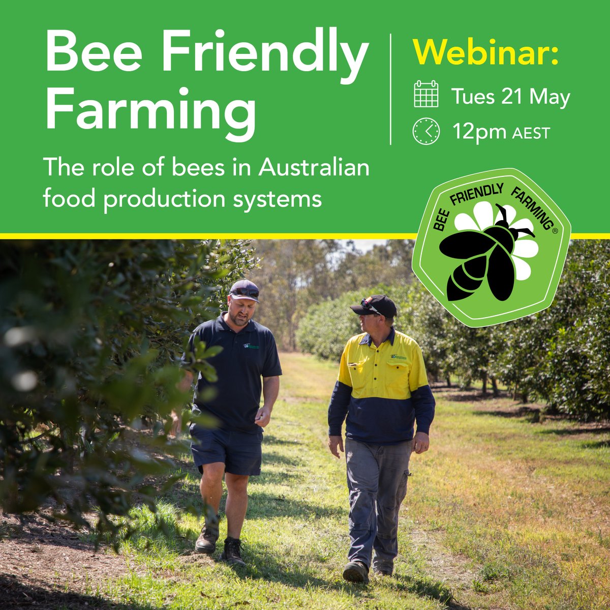 In this free webinar, discover the vital role bees play in Australia's food production systems, with case studies on the role of bees in carrot seed production and native bee pollination of berry crops. The webinar is on Tues 21 May at 12pm AEST. Info at bit.ly/3wlqFR3