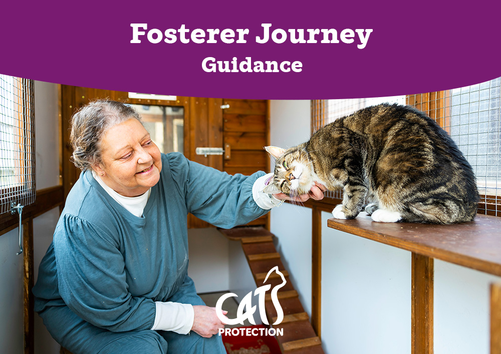 Excited to see our new, simplified and #volunteer friendly fosterer process launched today. The process review has volunteers at the heart, being designed for and by our volunteers @CatsProtection People, head to CatNav for info 🐈 #AllForCats #AdoptDontShop #CatsOfTwitter