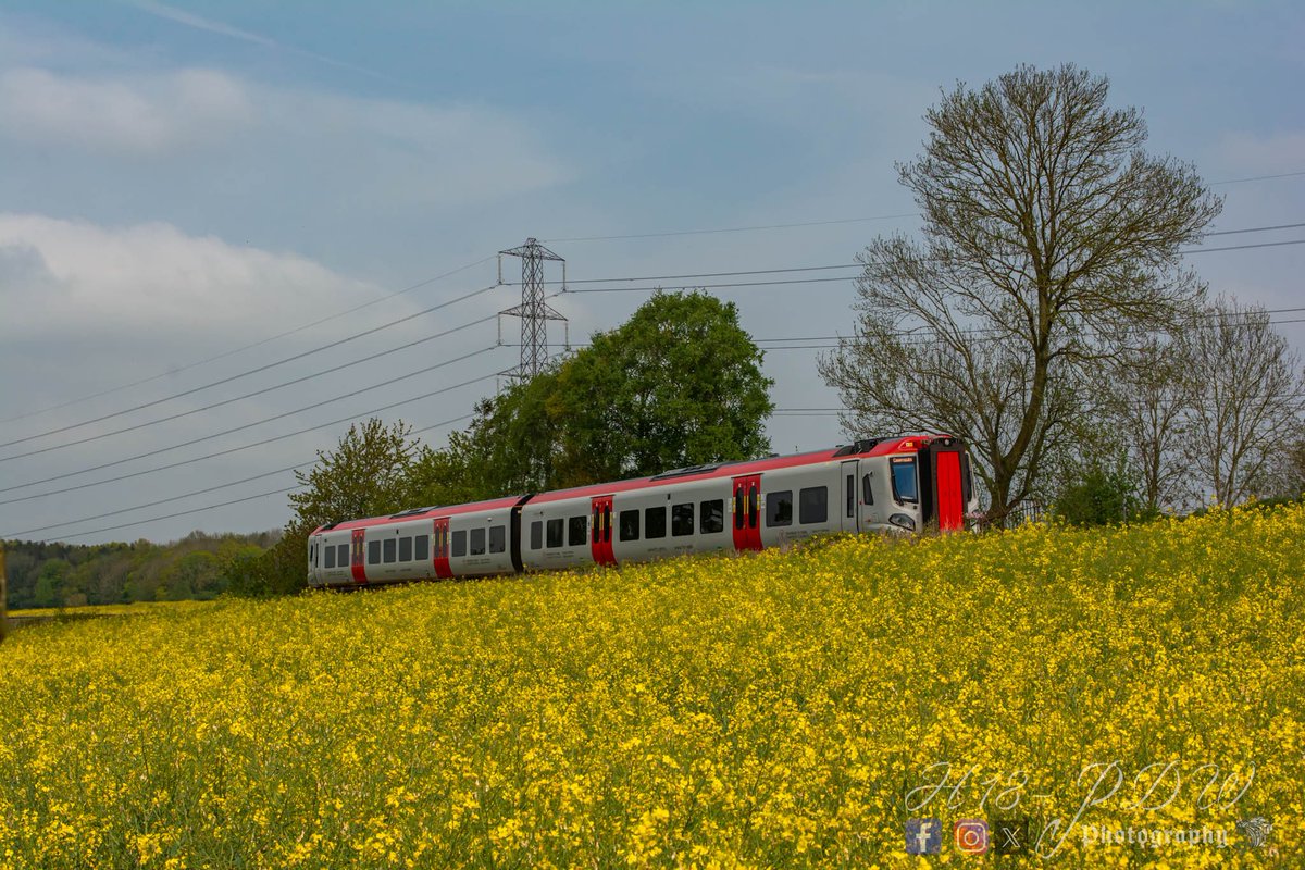 A class 197 passing some stunning colours in Shropshire. @transport_wales @networkrail @NetworkRailWAL #class197 #trains #trainspotting #colours @RailwayMagazine @Alstom @AlstomUK @tfwrail @CambrianLine #rapeseed #Shropshire