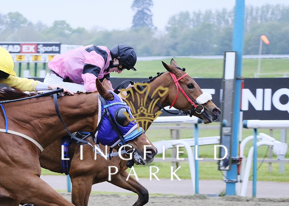 RACE 7 WINNER - Get The Inside Track With raceday-ready.com Handicap

🥇 Forever Proud
🥈 Bbob Alula
🥉 Come On John

Jockey: @liamwright02_
Trainer: Mark Hoad
Owner: All Weather Racing Club

#LingfieldPark