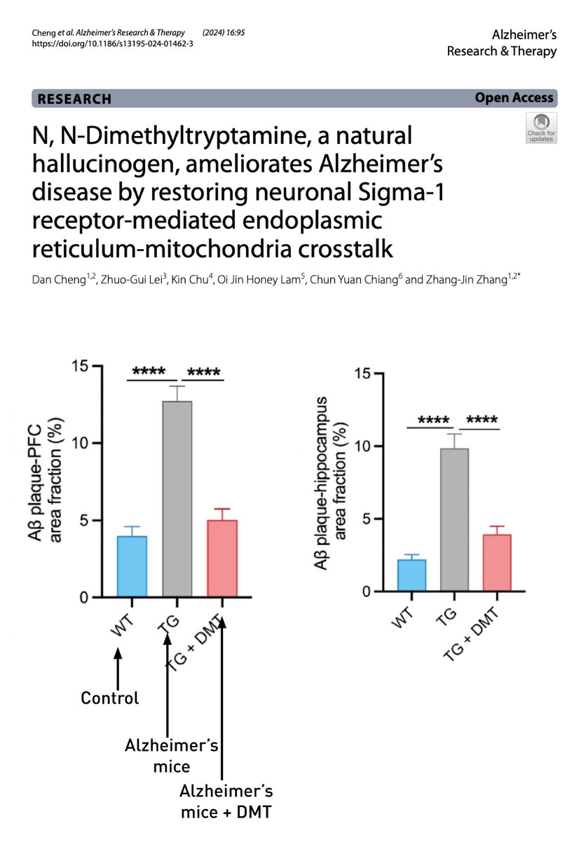 DMT for Alzheimer's Disease? Dramatic reduction in amyloid plaque formation & abatement of cognitive decline with DMT in a mouse model of the disease. Likely mediated by protection of mitochondrial-ER crosstalk via the Sigma-1 receptor... Full paper: dx.doi.org/10.1186/s13195…