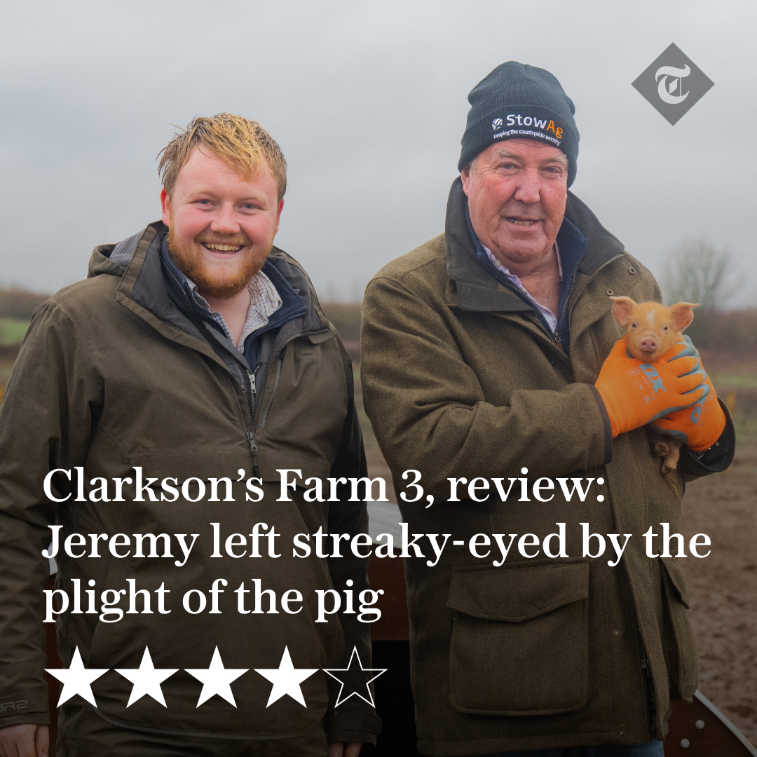 🐷 'Clarkson turns to pig-rearing and jam-making to earn cash for Diddly Squat – but it’s his shtick with Kaleb Cooper that remains the draw' | Writes @anitathetweeter Read the review ⬇️ telegraph.co.uk/tv/2024/05/03/…