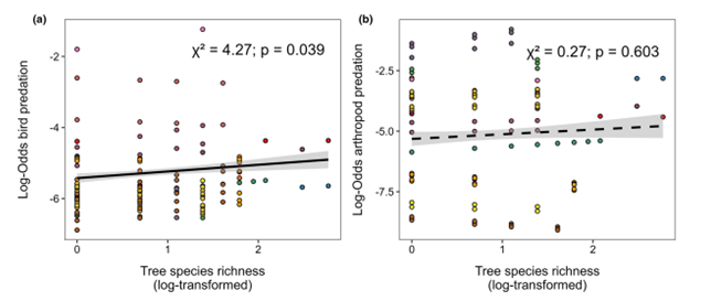 📢 New #TreeDivNet paper: 
Tree diversity enhances predation by birds but not by arthropods across climate gradients 
🐛🐦🐜🌲🌳🌡️🌧️
Excited to see this work started by <a href="/Eva_WM/">Dr_M</a> published in <a href="/Ecology_Letters/">Ecology Letters</a>! Huge thanks to @CarlaVzquezGon1 &amp; <a href="/BCastagneyrol/">Bastien Castagneyrol</a> onlinelibrary.wiley.com/doi/full/10.11…
