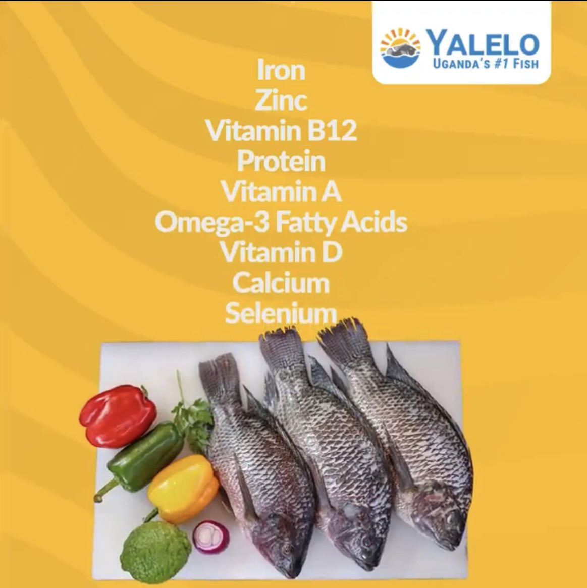 Here’s your weekly reminder to pick up your tilapia 🐟🐟 from @YaleloUganda today 🤗 Fresh and nutritious, something we all need a lot more of! 
I’m playing around with a new recipe on #CrystalsBites 😋😋 #UgandasNo1Fish