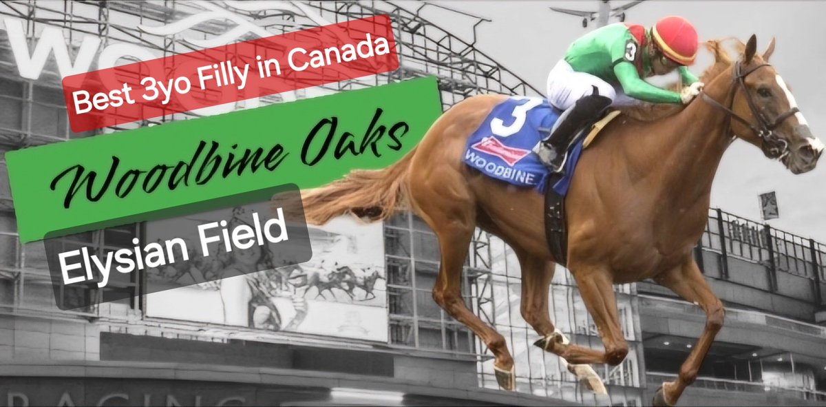 Team Valor's Elysian Field, the reigning 3 year old Champion Filly of Canada, runs at Churchill Downs in an OC 80k on the turf over a mile and 1/8 on Friday. The 4 year old Hard Spun filly is drawn in 3 and has Javier Castellano in the saddle for Mark Casse.