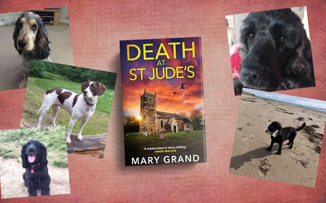 A great whodunnit featuring some gorgeous dogs! Perfect bank holiday read - only 99p! ' Intricate plotting make this novel a standout in the genre.' CLICK - mybook.to/jGKnT @BoldwoodBooks #dogs #cockerspaniels #IsleofWight #CrimeFiction #Kindle #BooksWorthReading