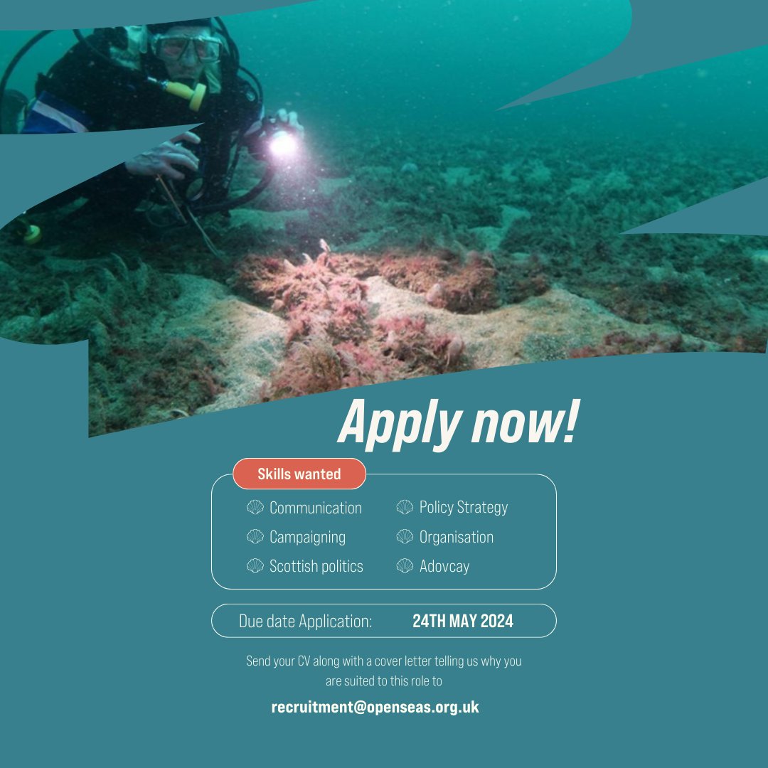 Join Open Seas as our Political Advocacy Specialist! 🌊 Ready to influence the Scottish Government & Parliament for sustainable futures in our seas? Apply now! goodmoves.org/vacancy/a4sP10… #JobOpening #openseas #marinesustainability