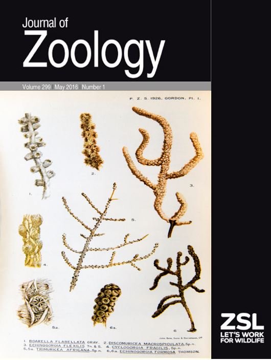Born #OTD Sidnie Manton 1902, she studied evolution, functional morphology & analysis of movement in arthropods. Also Anna McClean Bidder 1903, she studied cephalopods. Both are featured in @JZoology virtual issue on women in marine zoology: …lpublications.onlinelibrary.wiley.com/hub/journal/14… #womeninSTEM