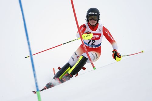 Esclusa dalle nazionali elvetiche, Lorina Zelger si ritira a 25 anni: per lei 13 presenze in CdM #FISAlpine #AlpineSkiing #3Maggio #scialpinofemminile dlvr.it/T6LzZD