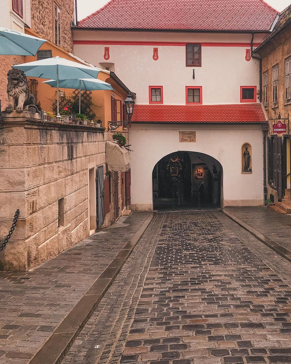 Every day is a day well spent if you get lost in the history and beauty of enchanting Upper Town. ❤😍

📸 IG maplesearup

#VisitZagreb #LoveZagreb #Zagreb