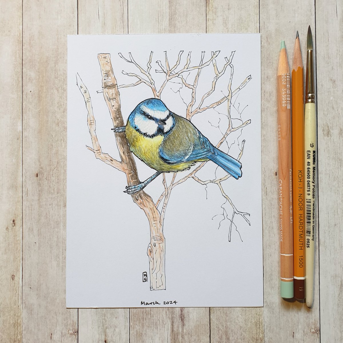 A colourful mix of blue, yellow, white and green makes the Blue Tit one of our most attractive and most recognisable garden visitors...
theweeowlart.etsy.com/listing/168141…
#BlueTit #bird #BirdDrawing #OriginalArt #drawing #PenAndInk #ColourPencil #artwork #art #TraditionalArt