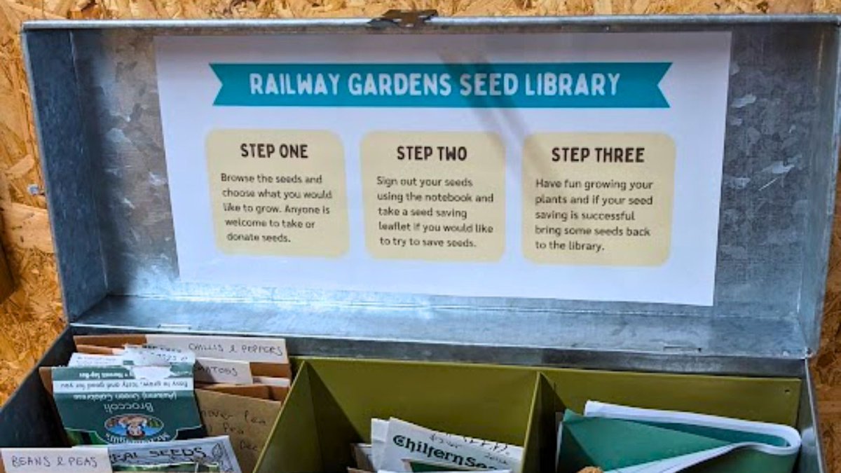 Did you know that you can pick up free seeds from our Community Seed Library? Or donate seeds to help others grow. Ask one of the team about it next time you visit! ✨ buff.ly/3iNDR84 #greensquirrel #community #environment #communitygarden #nonprofit #organisation
