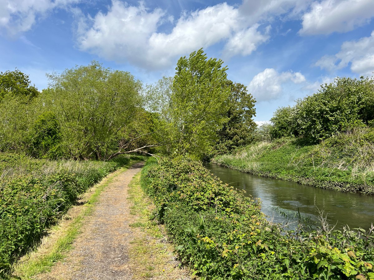 #virtualtour of the Crane Valley: River Crane and riverside path in the Brazil Mill Wood/Hounslow Heath area @LBofHounslow, April 2024.
@FriendsRivCrane @GreenFeltham @habsandheritage @CPRELondon @Ramblers_London