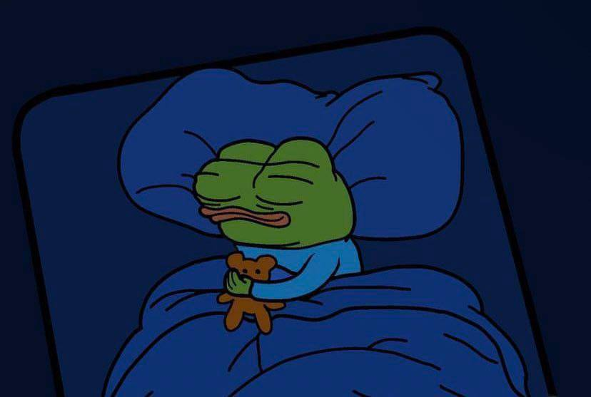 how crypto mfers sleep knowing all their life savings are in memecoins: