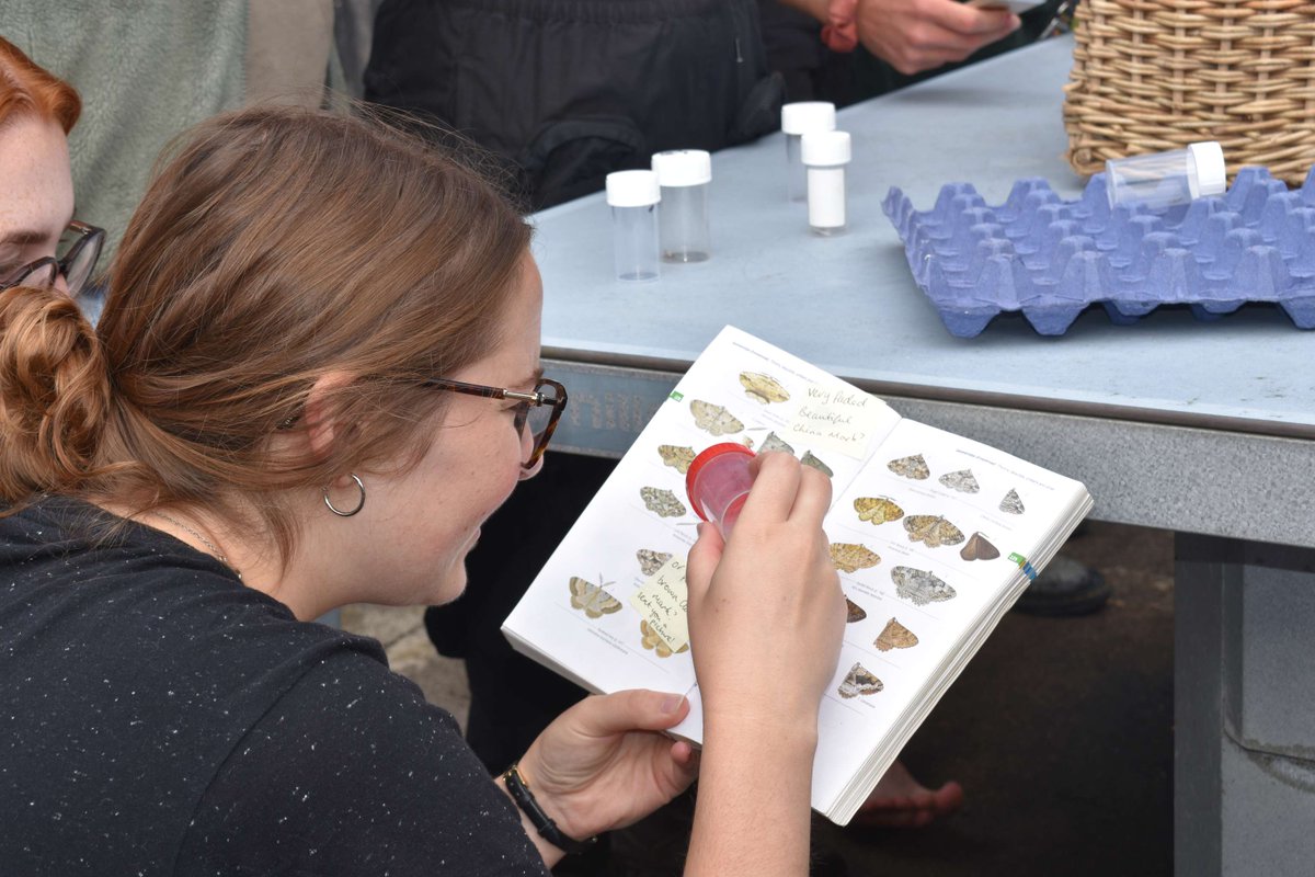 FSC Biodiversity (@fscbiodiversity) on Twitter photo We're thrilled to announce that the deadline to apply for the 2024 Young Darwin Scholarship has been extended to the 2nd June! Plus, we have an additional 15 places at a new location <a href="/DoddingtonHall/">Doddington Hall</a> in Lincolnshire! <a href="/HeritageFundUK/">The National Lottery Heritage Fund</a> 🥳
Apply today 👉 ow.ly/RsxB50RqC9y We're thrilled to announce that the deadline to apply for the 2024 Young Darwin Scholarship has been extended to the 2nd June! Plus, we have an additional 15 places at a new location <a href="/DoddingtonHall/">Doddington Hall</a> in Lincolnshire! <a href="/HeritageFundUK/">The National Lottery Heritage Fund</a> 🥳
Apply today 👉 ow.ly/RsxB50RqC9y