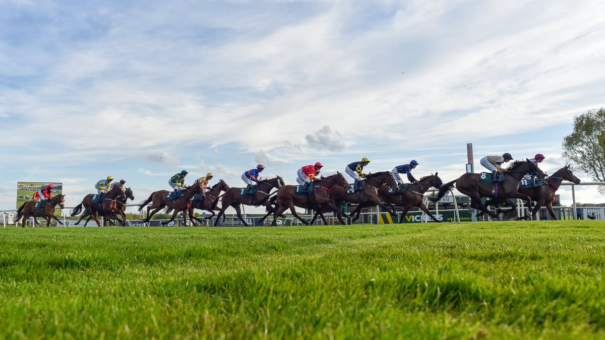 🔔Reminder for our Annual Card Holders: our next meeting, on Mon 13 May, is a guest day - bring 2 complimentary guests (per card) with you to enjoy an afternoon at the races! There's no need to pre-book, simply show your annual card at the gates when you arrive with your guests.