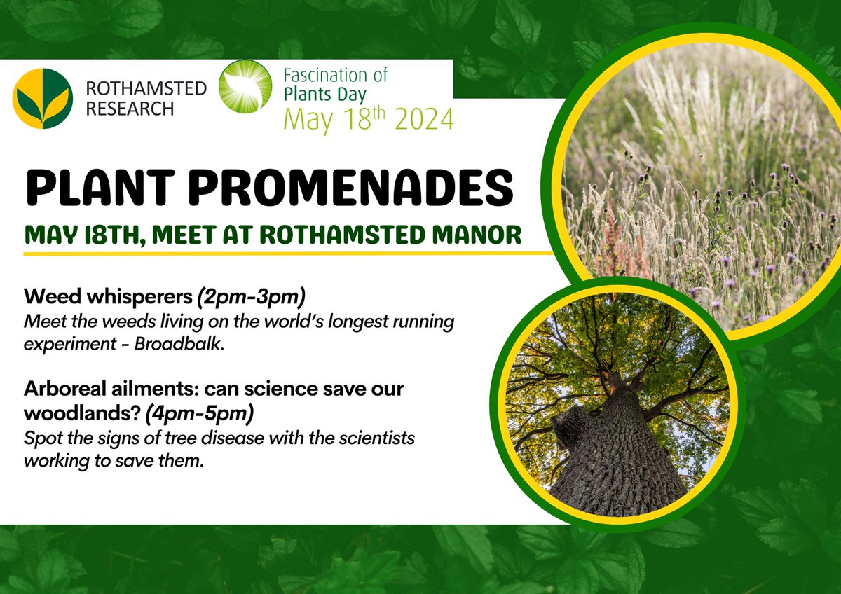 What are our scientists doing to tackle threats facing our crops and trees? Find out when you join us for a Plant Promenade in #Harpenden! Get your FREE ticket here: tickettailor.com/events/rothams… #Hertfordshire #Herts #StAlbans