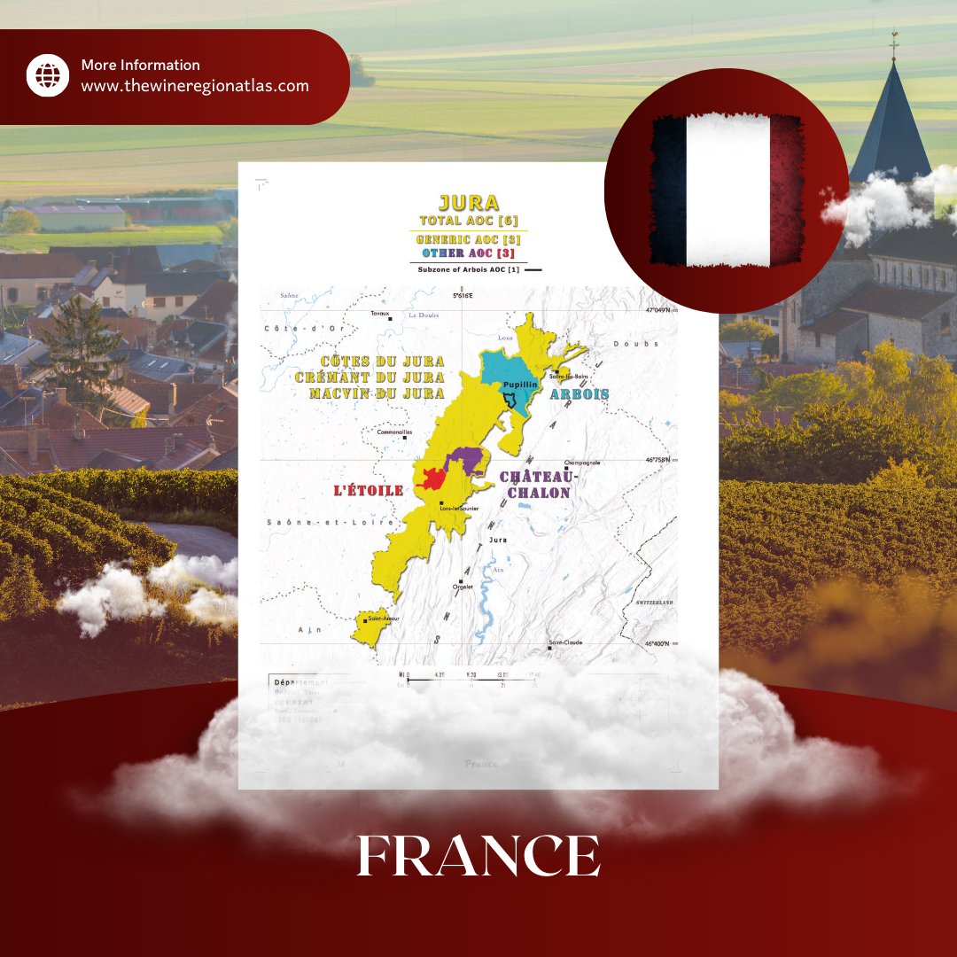 Enhance your wine knowledge and appreciation with our France Wine Map. Find more regions on our website. 🍷
.
.
#WineExpertise #WineEducation #WineProfessionals