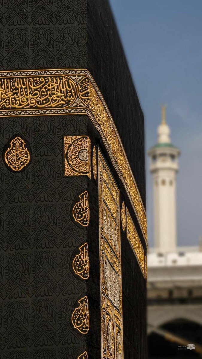 يٰٓاَيُّهَا الَّذِيۡنَ اٰمَنُوا
 اسۡتَعِيۡنُوۡا بِالصَّبۡرِ وَالصَّلٰوةِ ؕ اِنَّ اللّٰهَ مَعَ الصّٰبِرِيۡنَ
... Seek help in patience and in Prayer! 
Surah Al Baqarah - 2:153

#JummahMubarak everyone, a reminder to practice Gratitude and Patience above all else🙏🏼