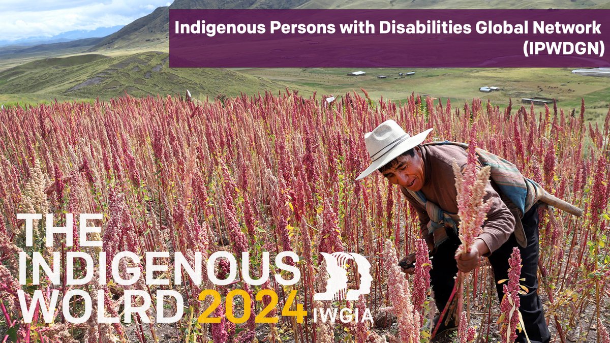 📢 Around 54 million Indigenous individuals face #disabilities. Although #UNDRIP recognizes the rights of #Indigenous persons and women with disabilities, they lack adequate support systems to fight against systemic margizalisation. 👉 Read the article: bit.ly/3xM5bNw