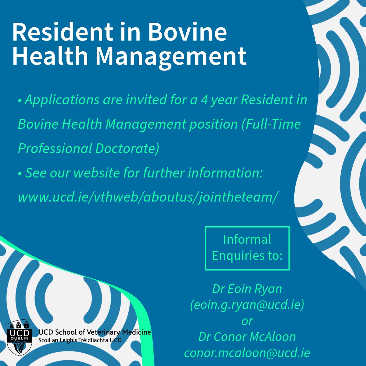 📢 Applications are invited for a Resident in Bovine Health Management position. This 4-year training position aims to promote aptitude and proficiency in all aspects of the practice of bovine health management. Closing date: 28 June. More info here: tinyurl.com/4kv45n4p