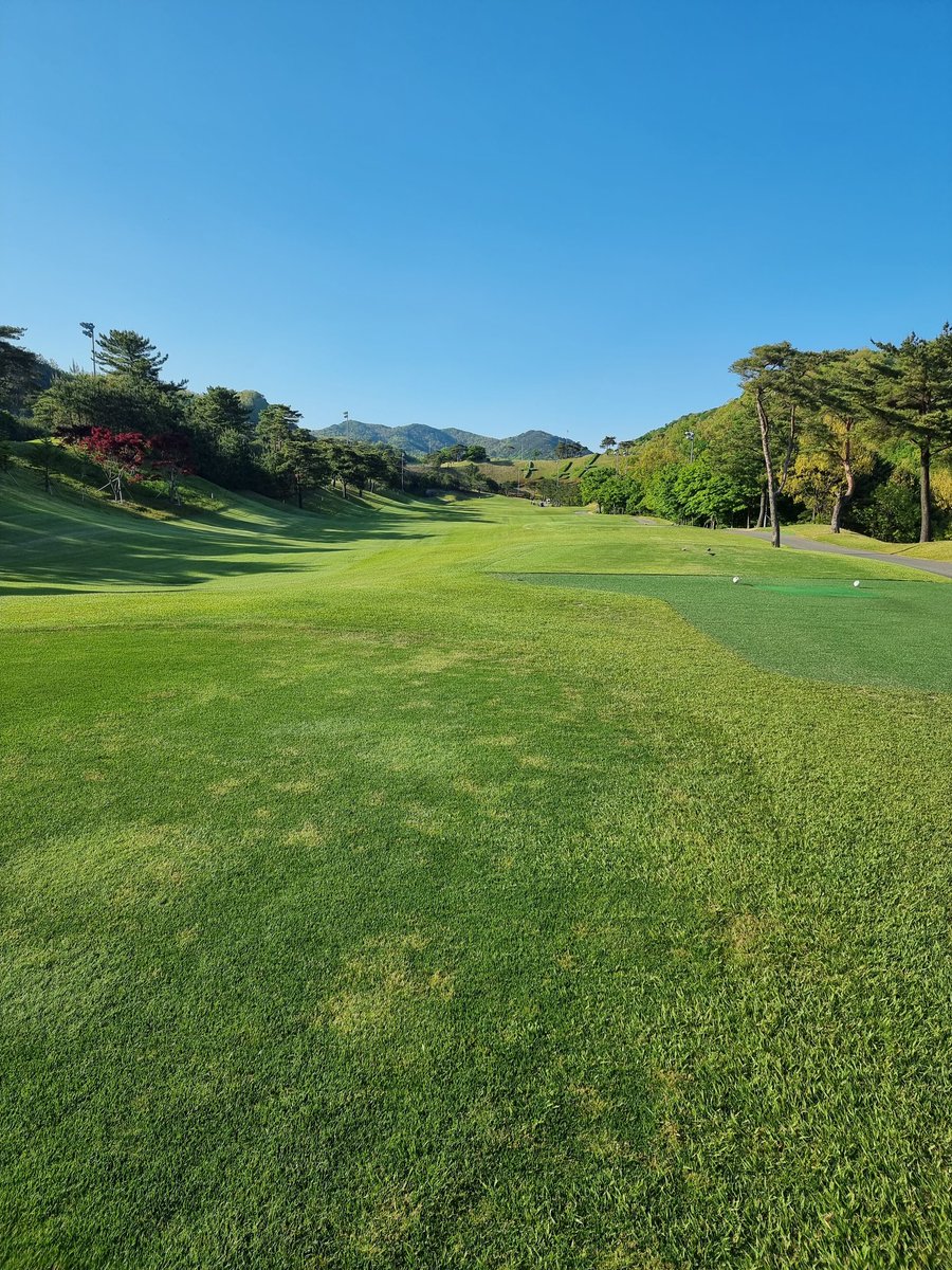 오늘은 혼자 라운딩 왔네요.
요즘 슬럼프라서 이벤트 내기아니면
공안칠듯..
7일,8일 동반라운딩 계획 잡고 있습니다
한번은 이겨야 초대 이벤트를 할건데..쩝