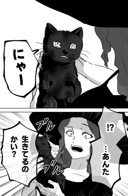 (5/6) 