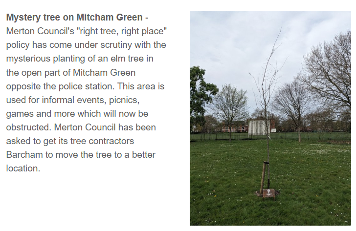 CRICKET GREEN UPDATE - Mystery tree on Mitcham Green mailchi.mp/0e90167c96f2/c…