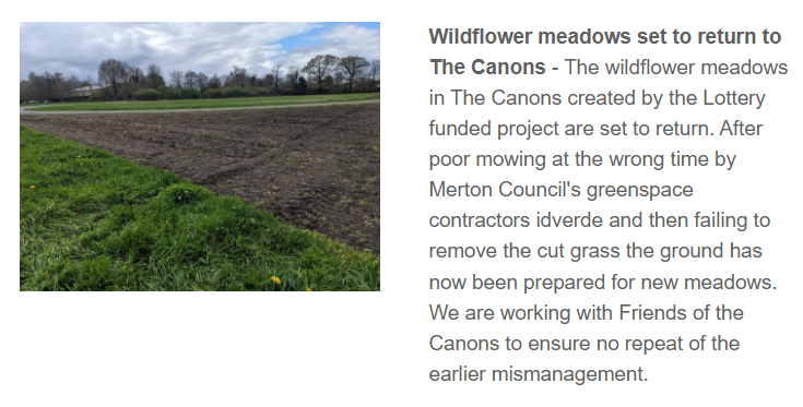 CRICKET GREEN UPDATE - Wildflower meadows set to return to The Canons mailchi.mp/0e90167c96f2/c…