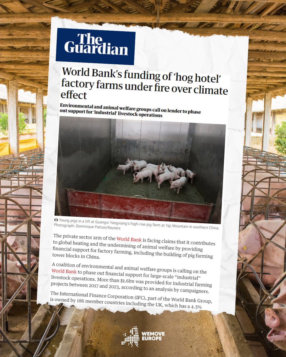 We're making waves & headlines! The World Bank is funding #FactoryFarms in the name of 'sustainable development', leading to environmental destruction & animal suffering. Over 95K already back our demand for investments in eco-friendly farms. Join them! wemove.eu/u/FactoryFarms