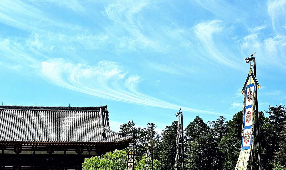【天平雲】
東大寺の空に見事な天平雲✨
巻雲ですが、ここではやはりこう呼びたい。瑞兆なり。