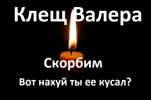 Скорбную весть принес я Вам. Клещ Валера, укусивший Мизулину, скончался в страшных мучениях. Помянем его, товарищи. Торжественная панихида состоится сегодня вечером в Твитере, каждий приносит с собой минимум по литру.