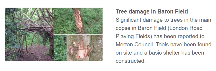 CRICKET GREEN UPDATE - Tree damage in Baron Field mailchi.mp/0e90167c96f2/c…