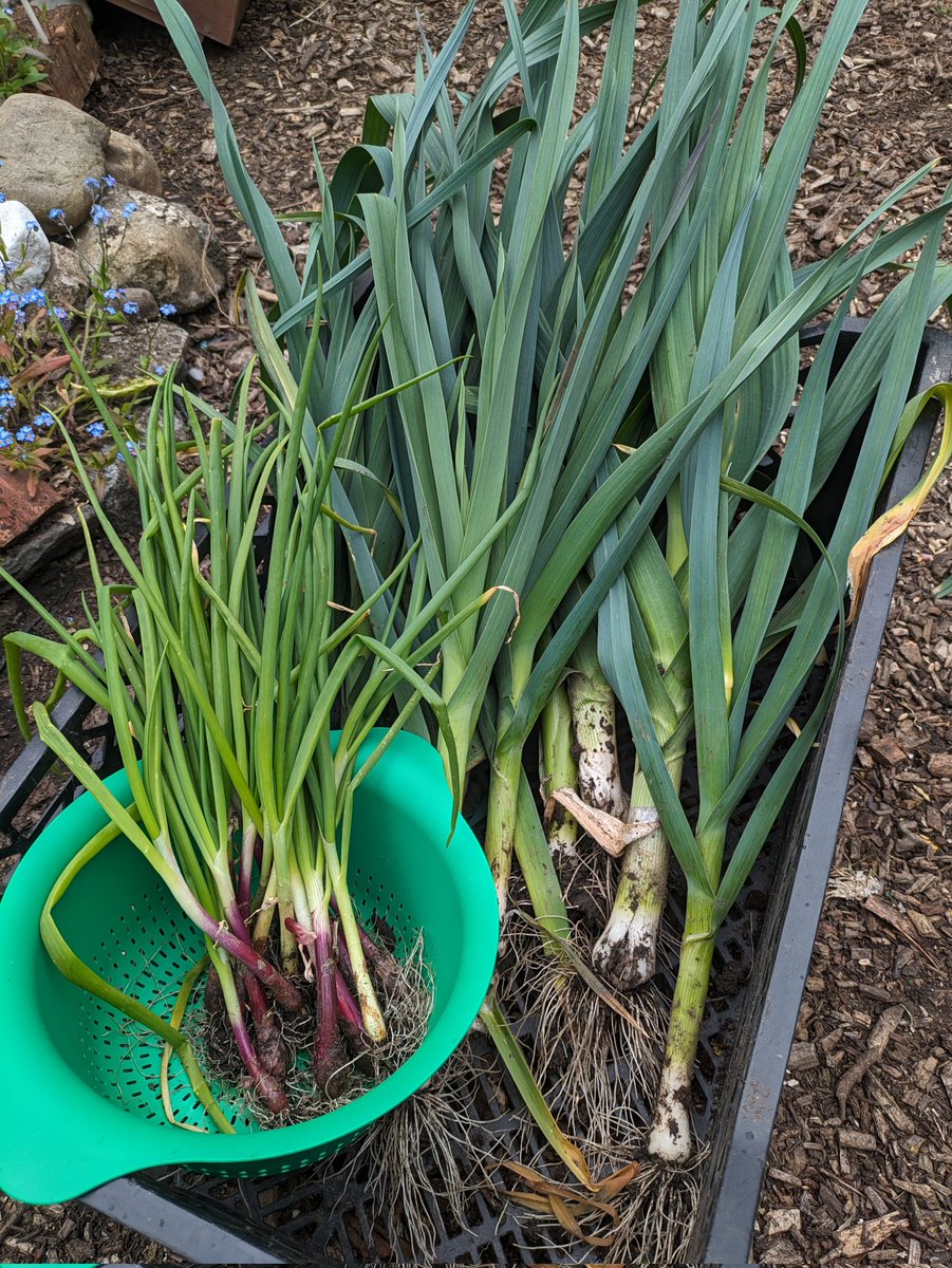 Please note there is NO Grow Well session on Monday 6th May at @elycaerau_ACE Dusty Forge due to the Bank Holiday closure. We will be back on the 13th May, which is also the day of the @CardiffSW Health & Wellbeing Fayre (Western Leisure Centre). More info to follow next week💚